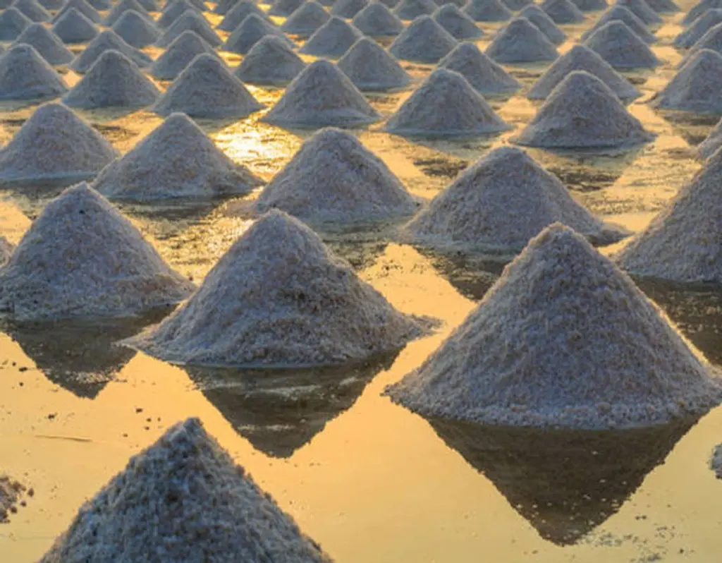 Vattenprovtagning produktbild